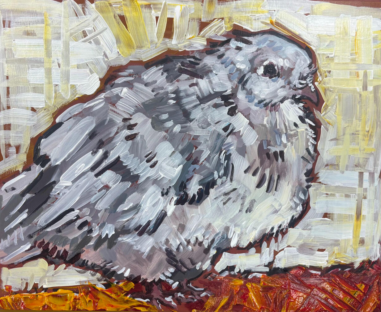 "White Pigeon on Branch" - September 16th, 2026 (10'' x 7.3'') Acrylic on Masonite